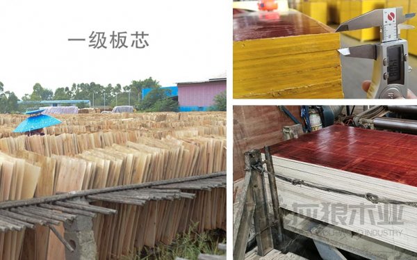 灰狼木业-专注建筑木模板生产厂家的优势