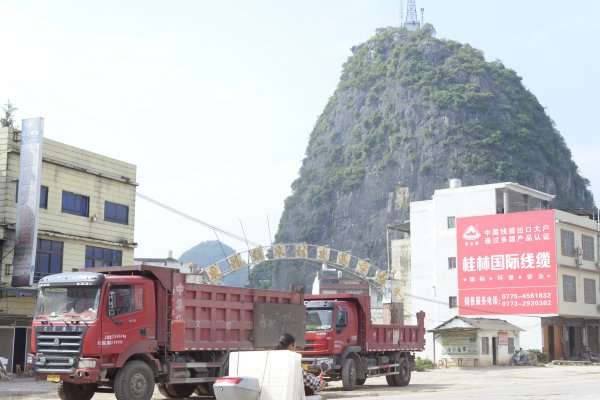 广西较大桉木生产基地-东龙板材交易中心